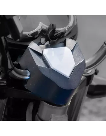 Capac ornamental Capac ornamental